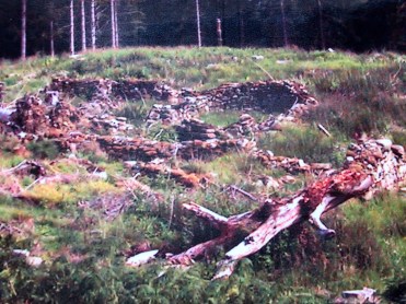 Ruins of Tominlymore