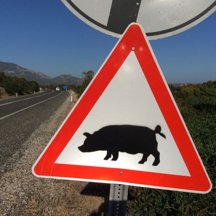 63ee2d31-1b5d-474a-a1df-3b7c3b5685de